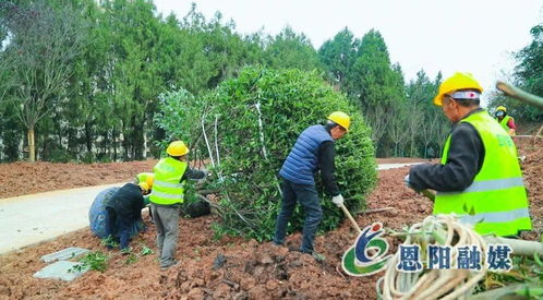 假期不停工，大梁山城市公園建設加速推進體育場地設施工程