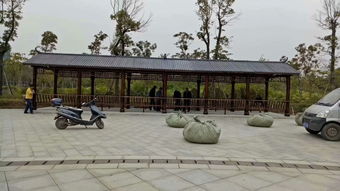 生態木花架與體育場地設施工程施工 價格、耐用性與施工指南